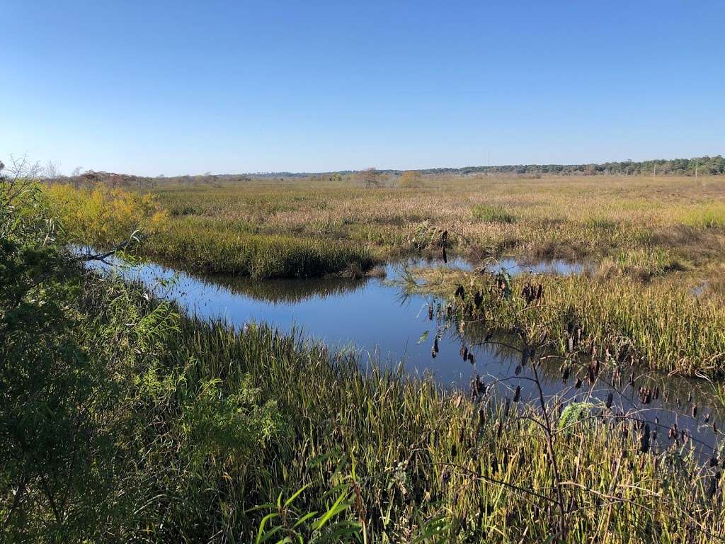 Turtle Bayou Nature Preserve | Wallisville, TX 77597, USA