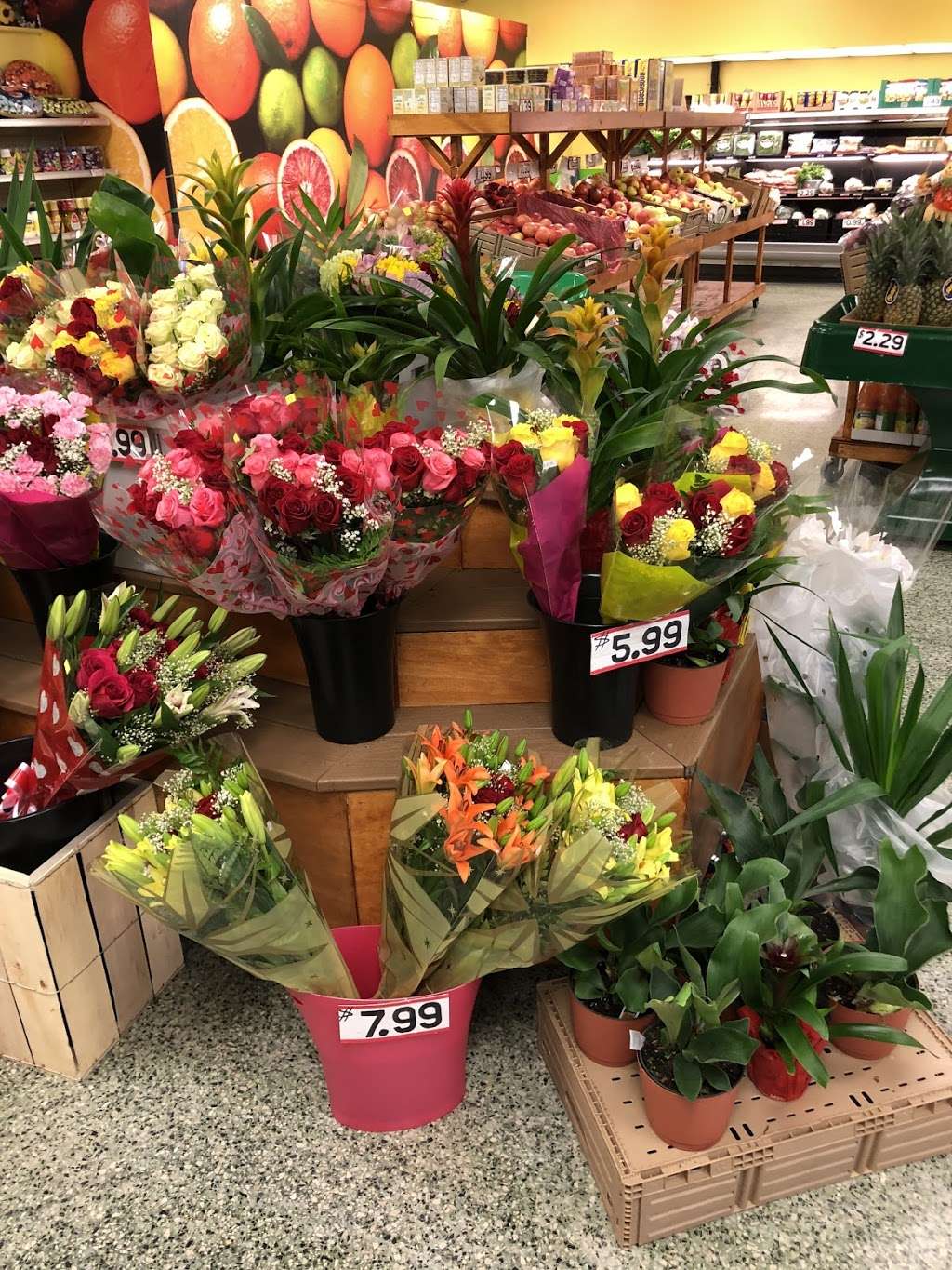 Produce and Flowers | 744 2nd St Pike, Richboro, PA 18954, USA | Phone: (267) 982-5850
