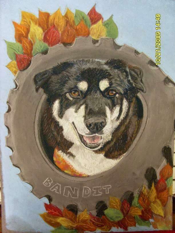 Pet ArtWork Specialties | Scott Ct, Michigan City, IN 46360 | Phone: (219) 814-3574