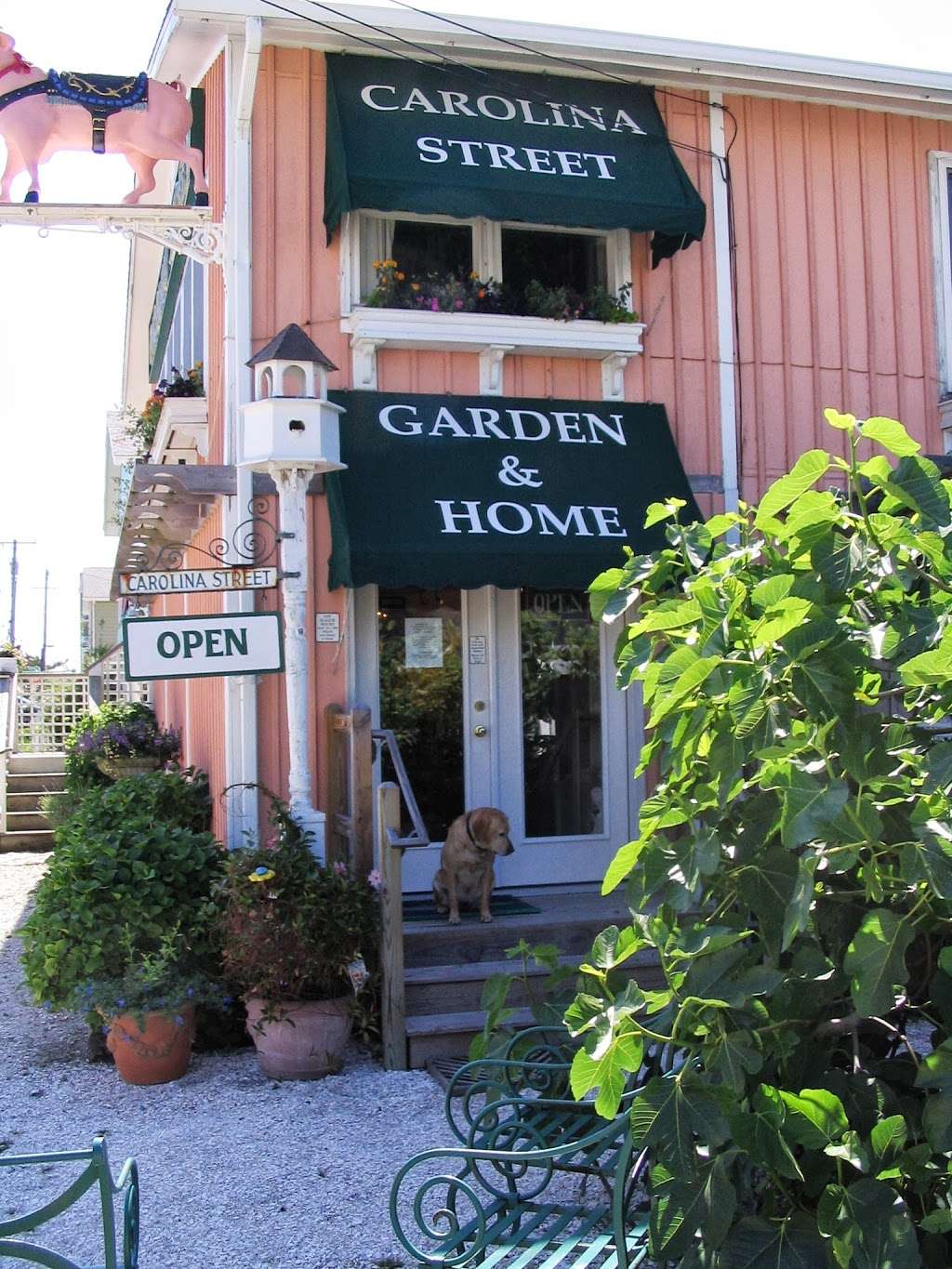 Carolina Street Garden & Home, 40118 E. So. Carolina Avenue, Fen | 40118 W South Carolina Ave, Fenwick Island, DE 19944, USA | Phone: (302) 539-2405