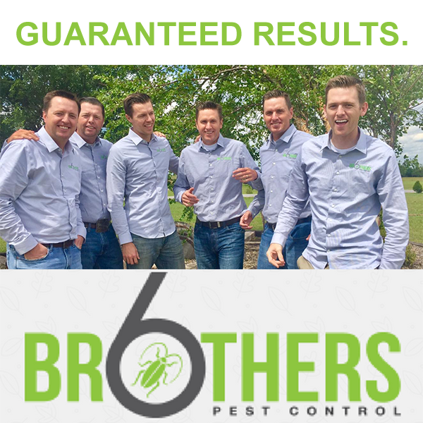 Six Brothers Pest Control | 3091, 5717, N Delta Ave, Kansas City, MO 64151 | Phone: (913) 703-7373