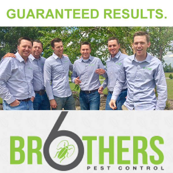 Six Brothers Pest Control | 3091, 5717, N Delta Ave, Kansas City, MO 64151, USA | Phone: (913) 703-7373