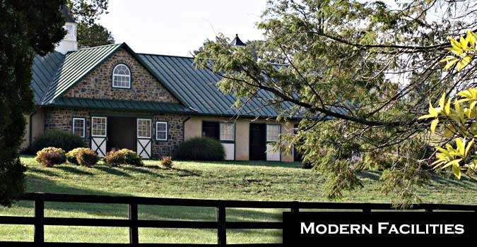 Laurel Inc Equine Reproductions | 525 Randleston Ln, Bluemont, VA 20135, USA | Phone: (540) 905-2054