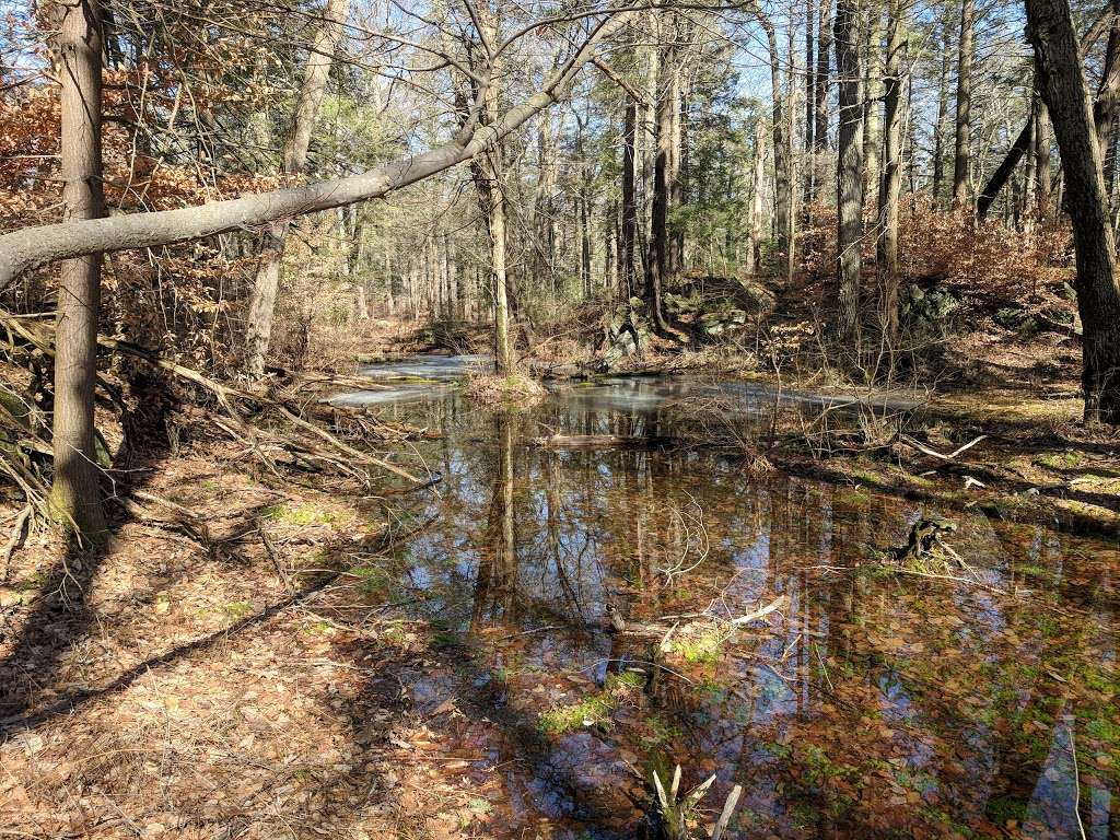 Pelton Pond - Fahnestock State Park | 1088 Cold Spring Turnpike, Hopewell Junction, NY 12533 | Phone: (845) 225-7207