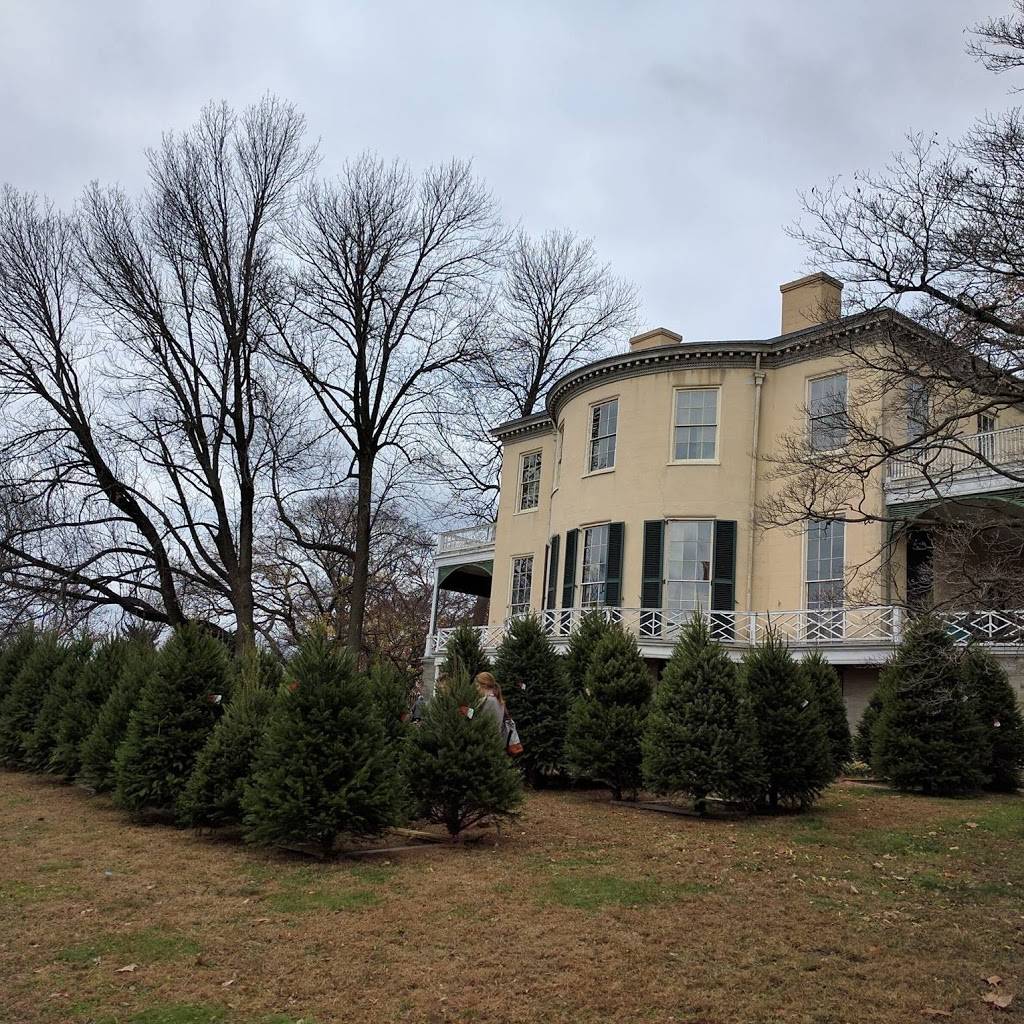 Philly Christmas Trees | Sedgley Dr &, N Lemon Hill Dr, Philadelphia, PA 19130, USA | Phone: (215) 872-1614