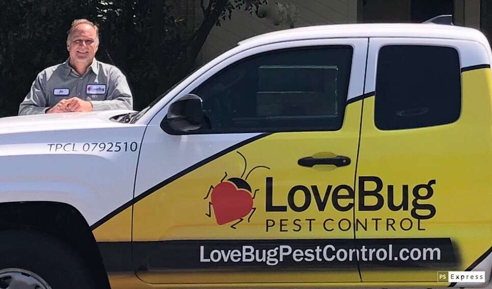 LoveBug Pest Control | 17170 Jordan Rd Ste. 402, Selma, TX 78154, USA | Phone: (210) 396-7100 LoveBug Pest Control | 17170 Jordan Rd Ste. 402, Selma, TX 78154, USA | Phone: (210) 396-7100