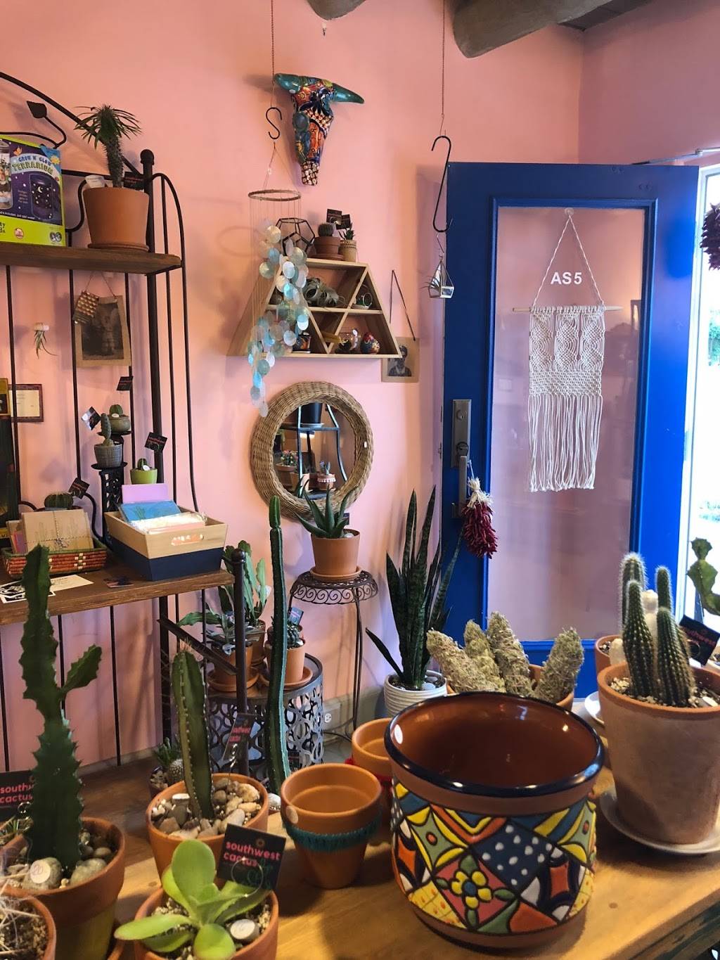 Southwest Cactus | 2500 Central Ave SW, Albuquerque, NM 87104 | Phone: (505) 280-9802