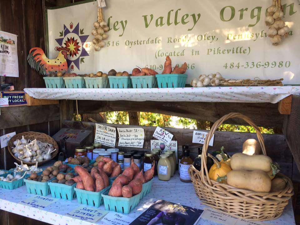 Oley Valley Organics Farm | 8657, 516 Oysterdale Rd, Oley, PA 19547, USA | Phone: (484) 336-9980