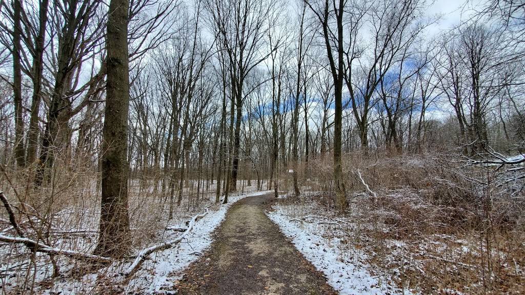 Lindenwood Nature Preserve | 600 Lindenwood Ave, Fort Wayne, IN 46808, USA | Phone: (260) 427-6740