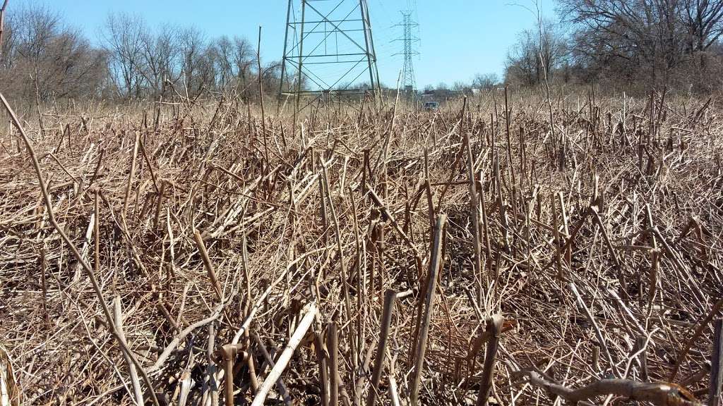 Woodbury Creek Park | Wood St, Woodbury, NJ 08096, USA