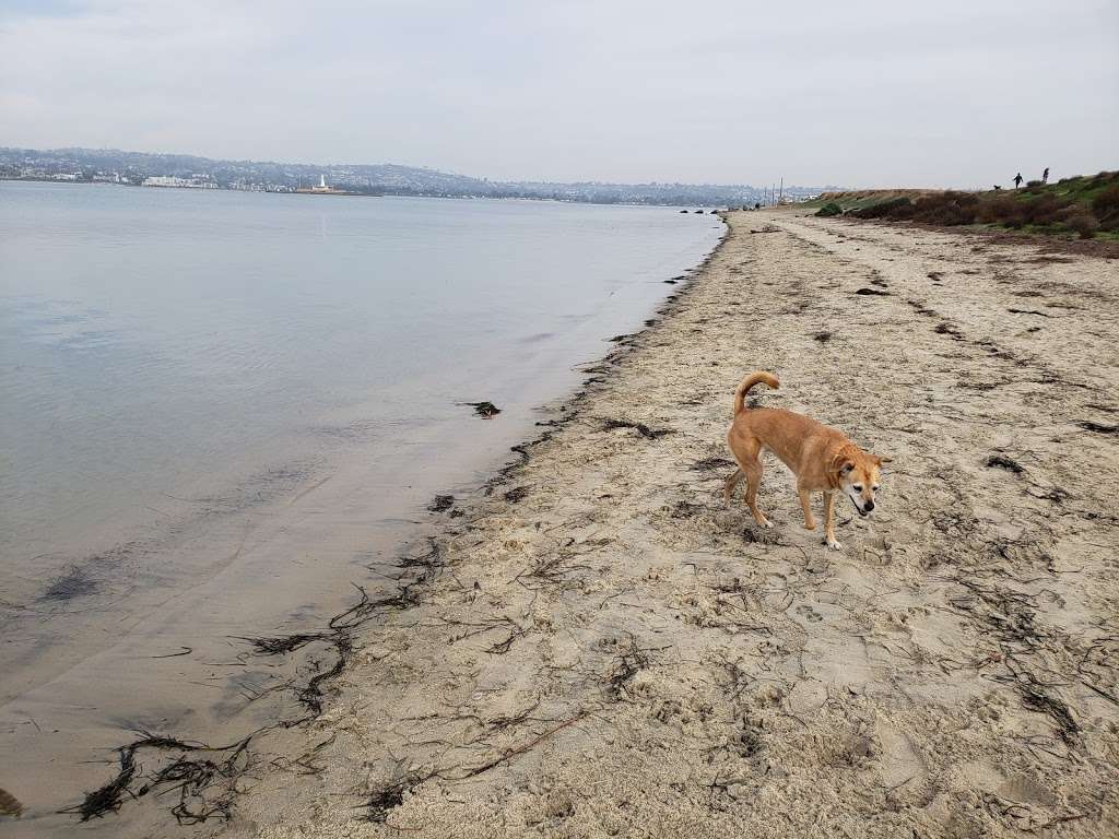 Fiesta Island Dog Park | 1750 Fiesta Island Rd, San Diego, CA 92109, USA | Phone: (619) 525-8213