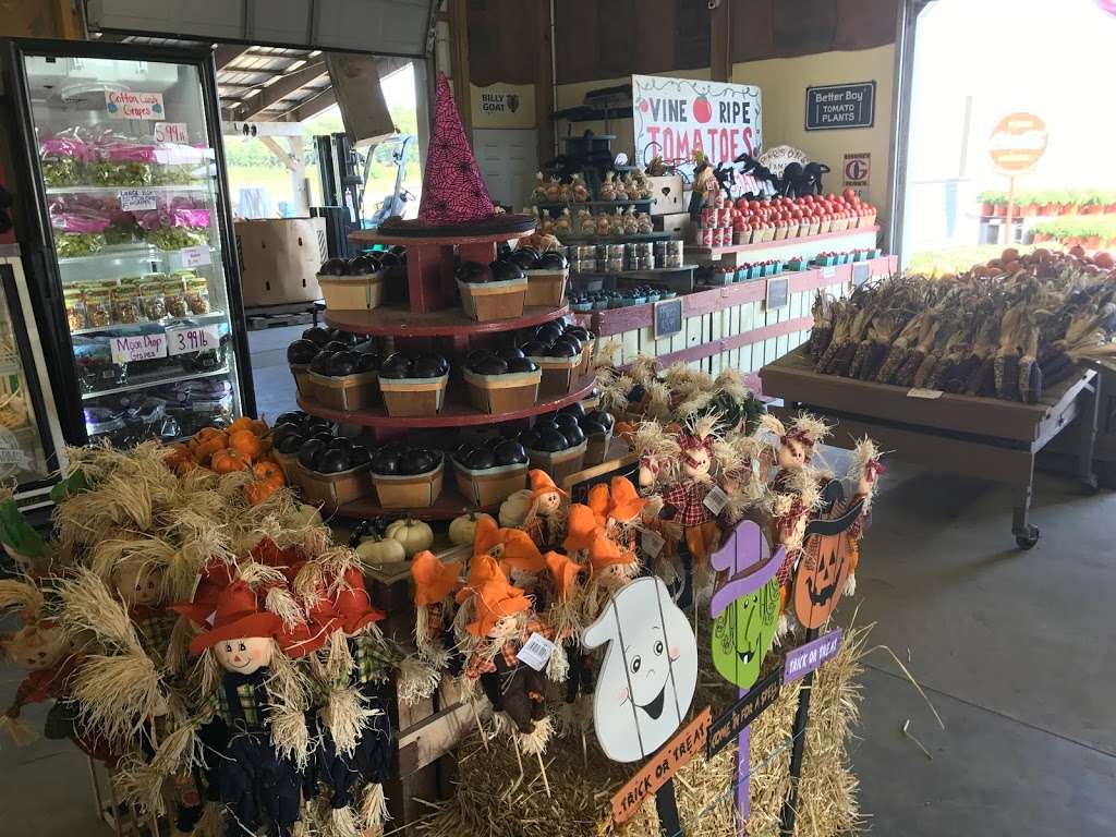 Parsons Farms Produce | 30381 Armory Rd, Dagsboro, DE 19939, USA | Phone: (302) 732-3336