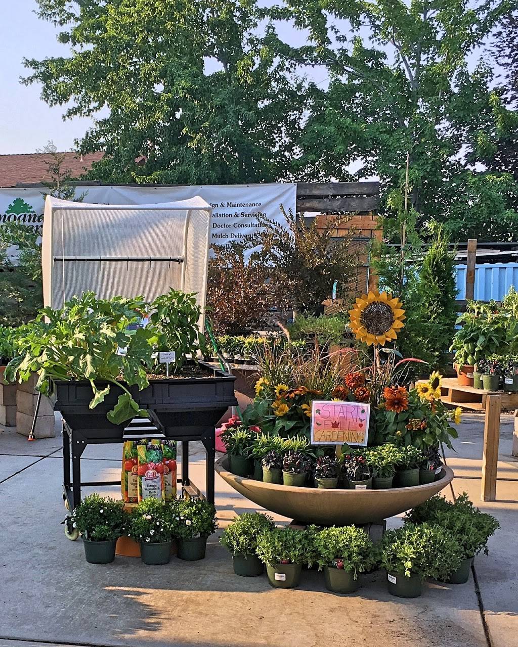 Moana Nursery | 11301 S Virginia St, Reno, NV 89511, USA | Phone: (775) 853-1319