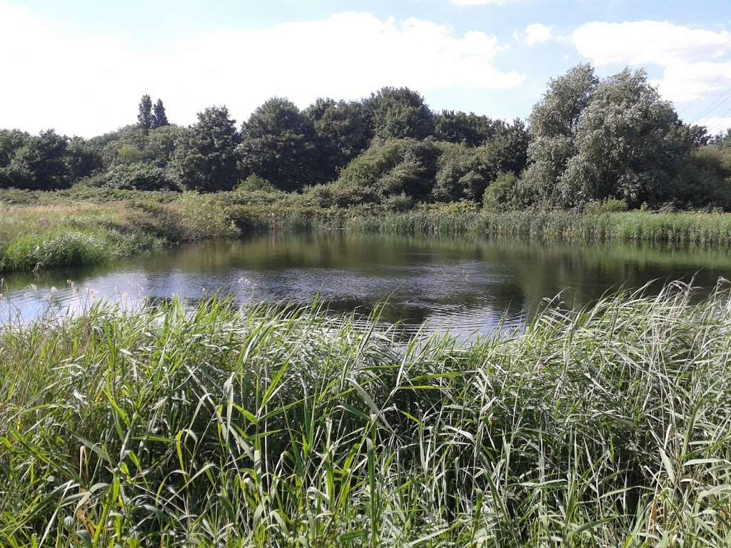 WaterWorks Centre Nature Reserve & Middlesex Filter Beds | Lammas Road, Leyton, London E10 7QB, UK | Phone: 020 8988 7566