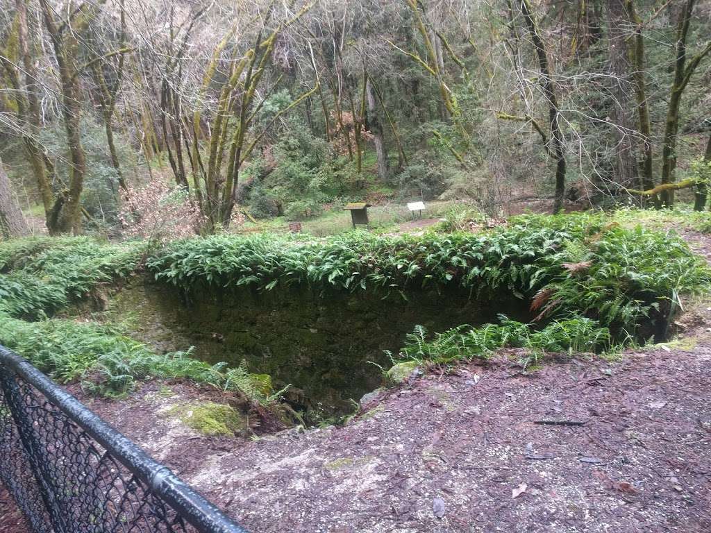 Redwood Hike Trail | Bennett Creek Trail, Felton, CA 95018, USA