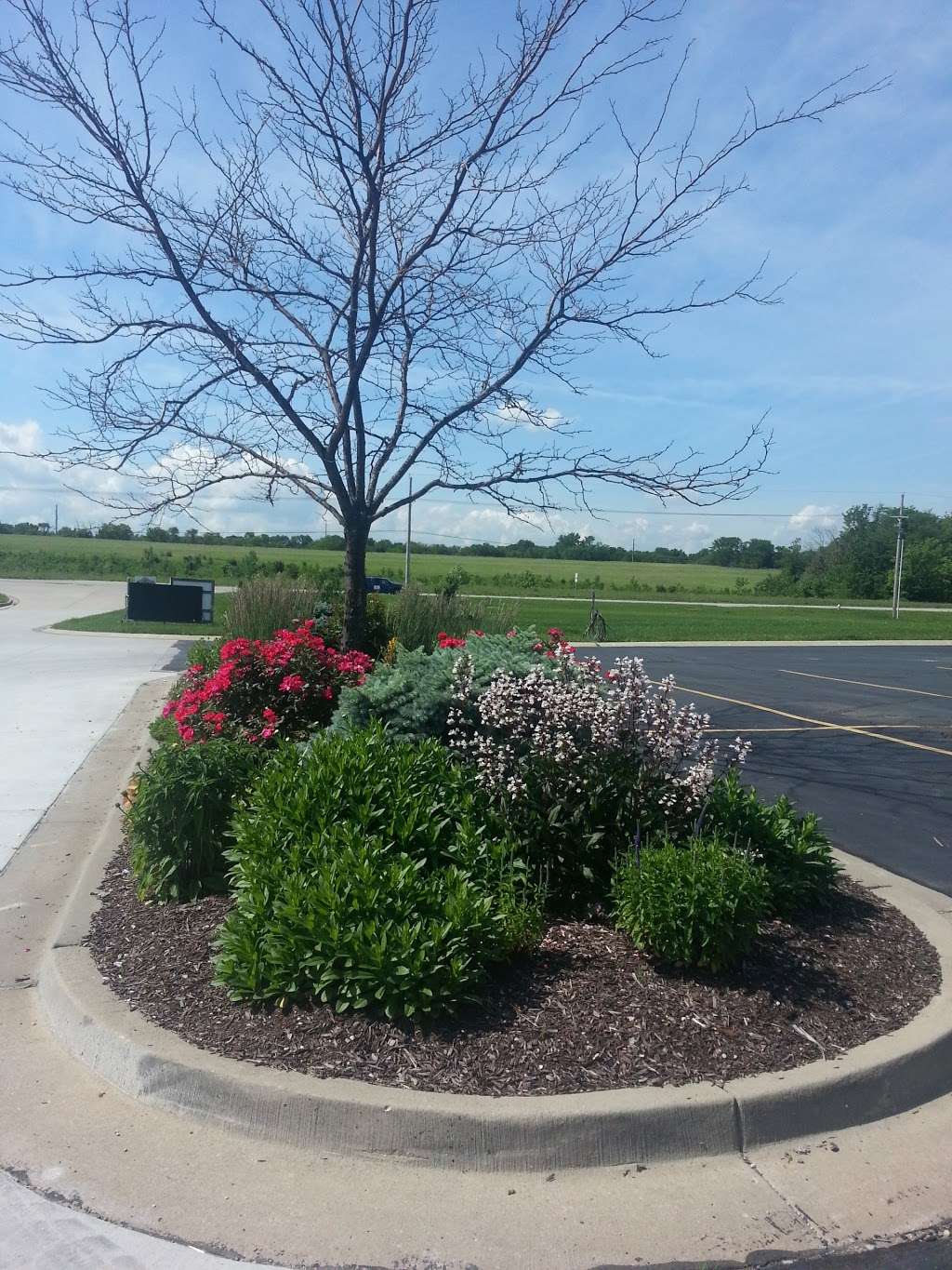 Grass Pad | 8160 W 199th St, Bucyrus, KS 66013 | Phone: (913) 681-8948