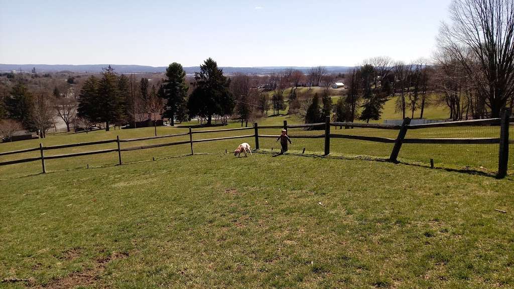 Nazareth Dog Park | Black Rock Rd, Nazareth, PA 18064, USA | Phone: (610) 759-3215