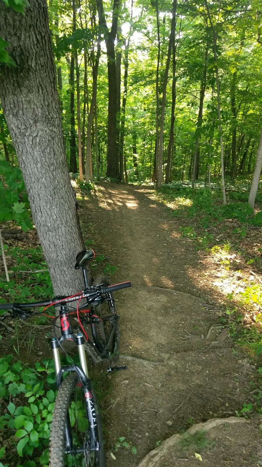 Blue Marsh Lake Park | Bernville, PA 19506, USA