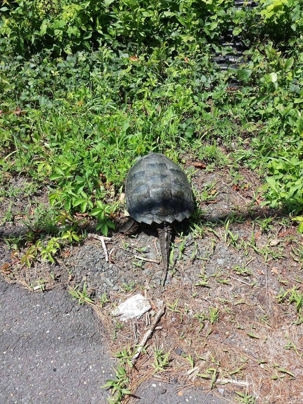 Franklin Park | 825 Canal Rd, Princeton, NJ 08540, USA