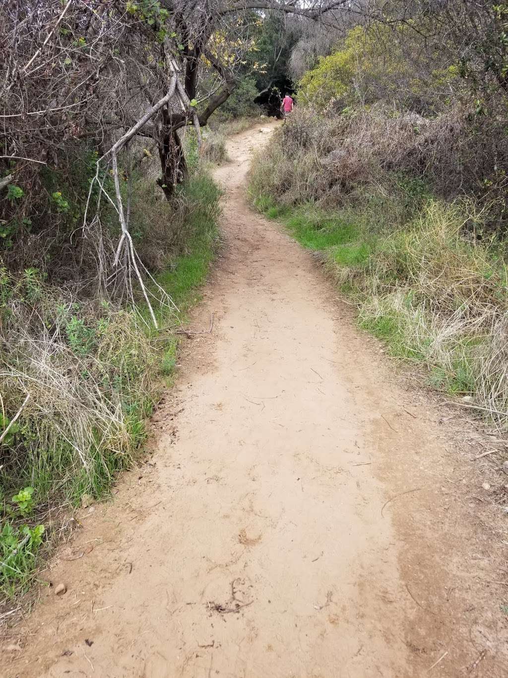 Los Liones Trail | Pacific Palisades, CA 90272, USA