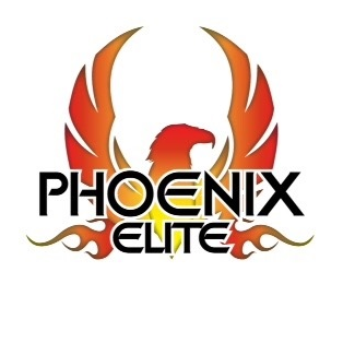 Phoenix Elite Cheer | 14807 L Willard Rd, Chantilly, VA 20151, USA | Phone: (703) 956-6272
