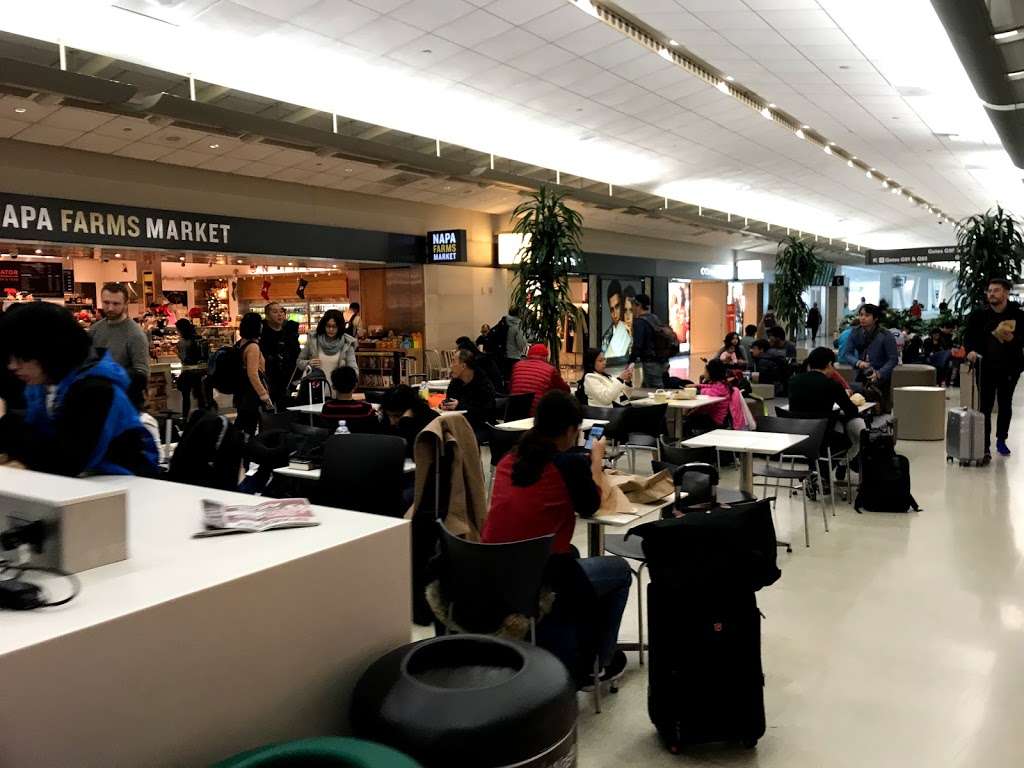 Skyline News + Gifts | San Francisco International Airport, San Francisco, CA 94128, USA