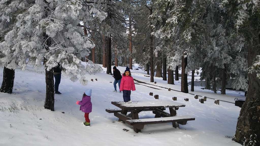 Grassy Hollow Picnic Area | Valyermo, CA 93563