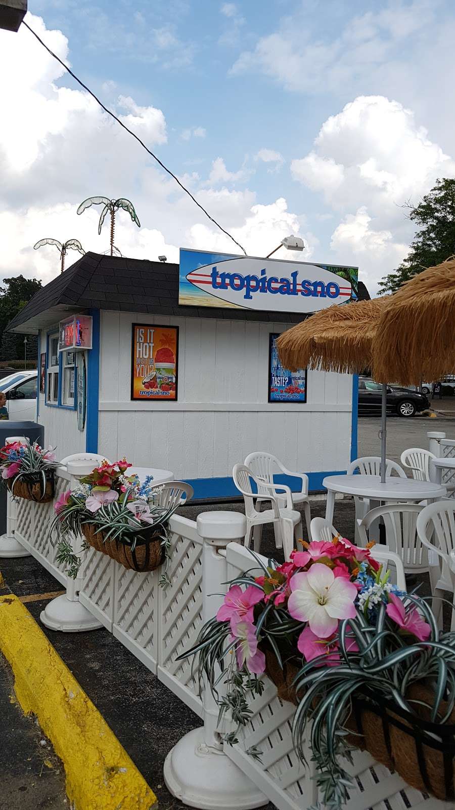 Tropical Sno | 8695 Archer Ave, Willow Springs, IL 60480 | Phone: (708) 599-5065