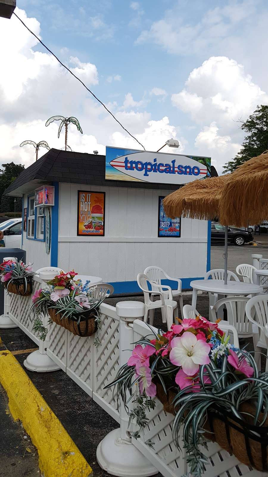 Tropical Sno | 8695 Archer Ave, Willow Springs, IL 60480, USA | Phone: (708) 599-5065