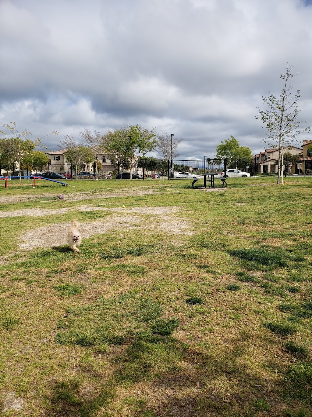 Windrow Off-leash Dog Park | 764 Nile River Dr, Oxnard, CA 93036