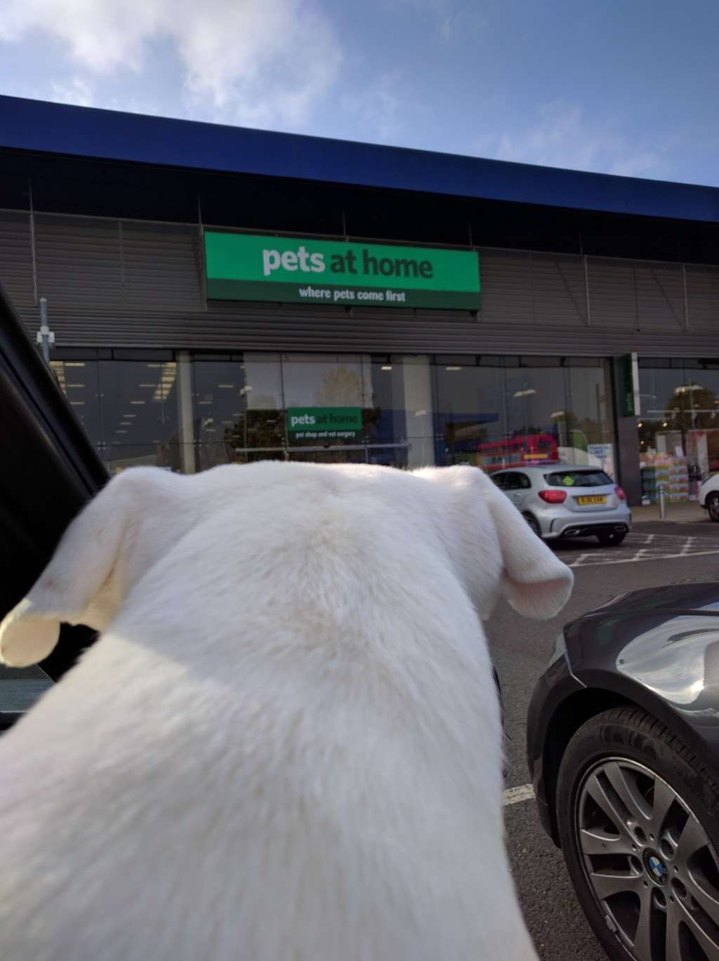 Pets at Home Orpington | 19, Nugent Retail Park, Cray Ave, Orpington BR5 3RP, UK | Phone: 0345 600 2108