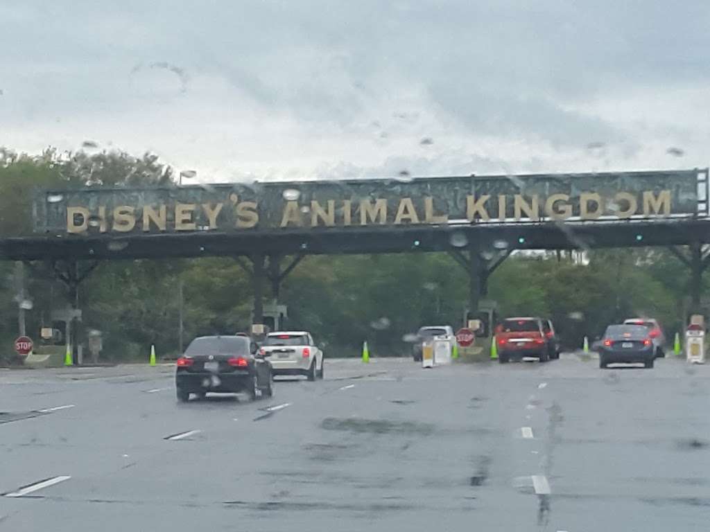 Disneys Animal Kingdom Rehearsal Facility | 3271 Sherberth Rd, Kissimmee, FL 34747, USA