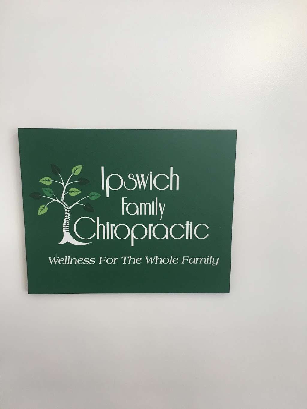 Ipswich Family Chiropractic | 146 High St, Ipswich, MA 01938, USA | Phone: (315) 730-7141