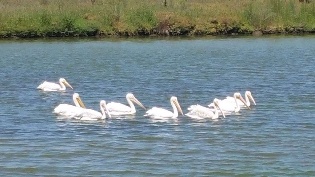 Baylands Nature Preserve Ranger Station | 2500 Embarcadero Rd, Palo Alto, CA 94303, USA | Phone: (650) 617-3156