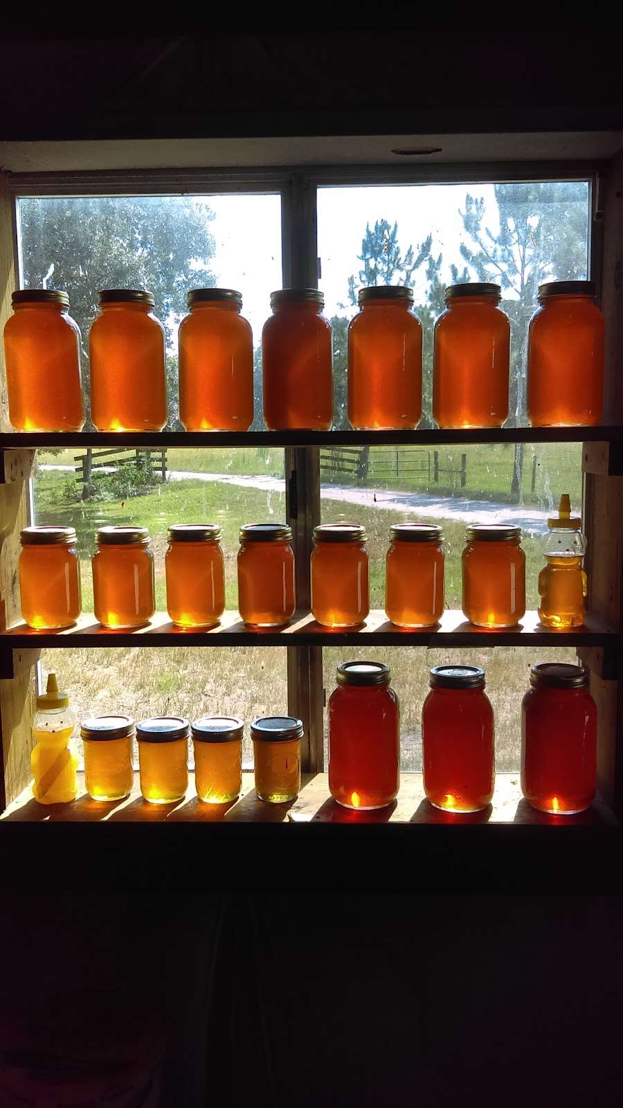 Indian Summer Honey Farm | 7269 FL-50, Webster, FL 33597, USA | Phone: (352) 429-0054