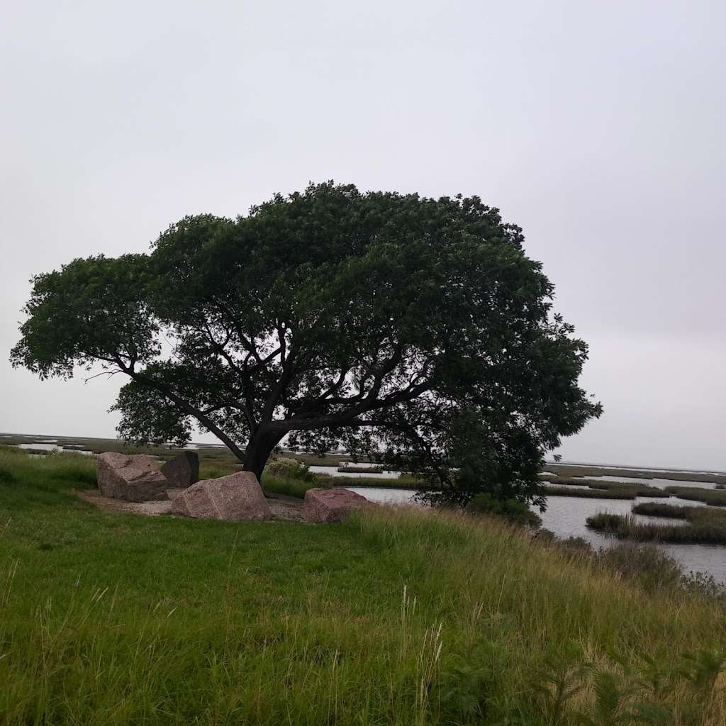 John M. OQuinn Nature Preserve | 2441 Hwy 6, Hitchcock, TX 77563, USA