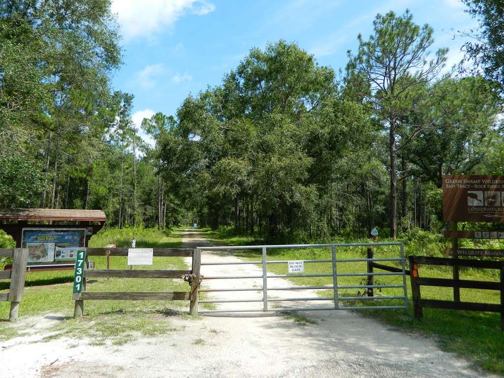 Green Swamp Wilderness Preserve - East Tract | Polk City, FL 33868, USA