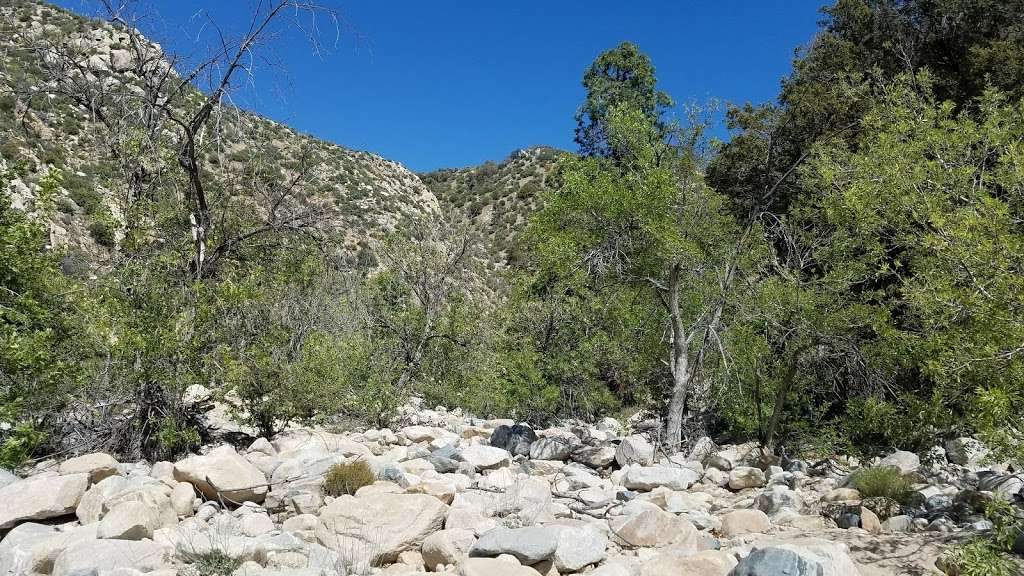 Mojave River Forks Regional Park | 17891 CA-173, Hesperia, CA 92345, USA | Phone: (760) 389-2322