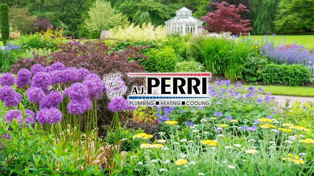 AJ Perri | 1162 Pinebrook Rd, Tinton Falls, NJ 07724, USA | Phone: (877) 885-8194