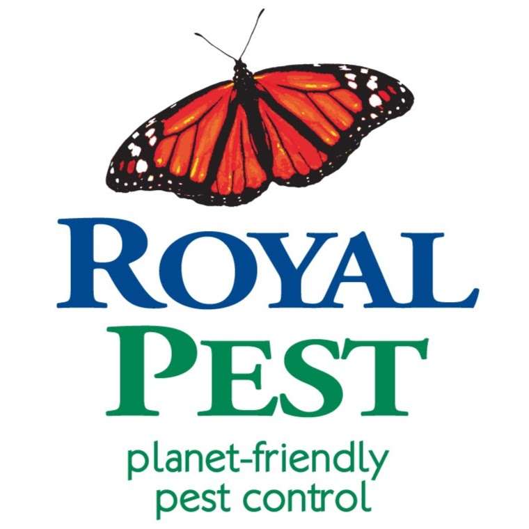 Royal Pest Solutions | 981 S Bolmar St, West Chester, PA 19382, USA | Phone: (610) 918-6241