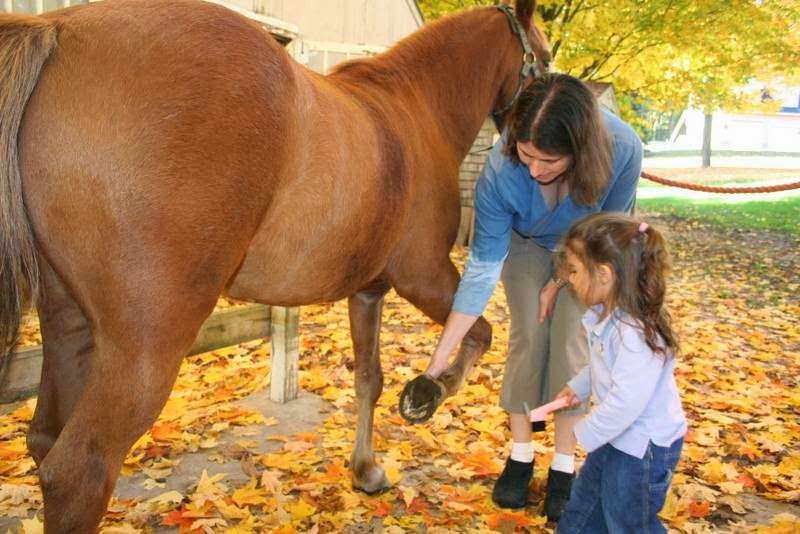 Fox Creek Farm | Pine Hill Rd, Hollis, NH 03049 | Phone: (603) 236-2132