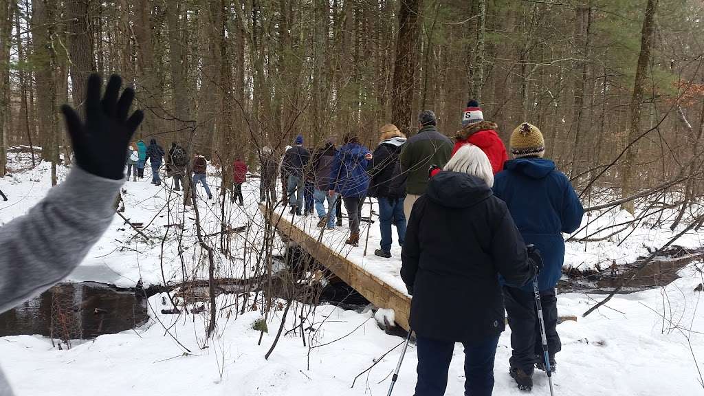 Jones Forest | Castlewood Dr, Billerica, MA 01821, USA