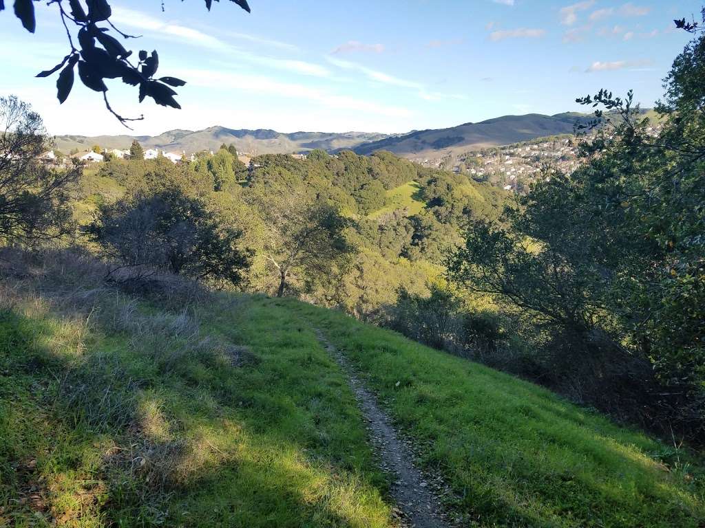 Sobrante Ridge Regional Preserve | 5170 Coach Dr, Richmond, CA 94803 | Phone: (888) 327-2757