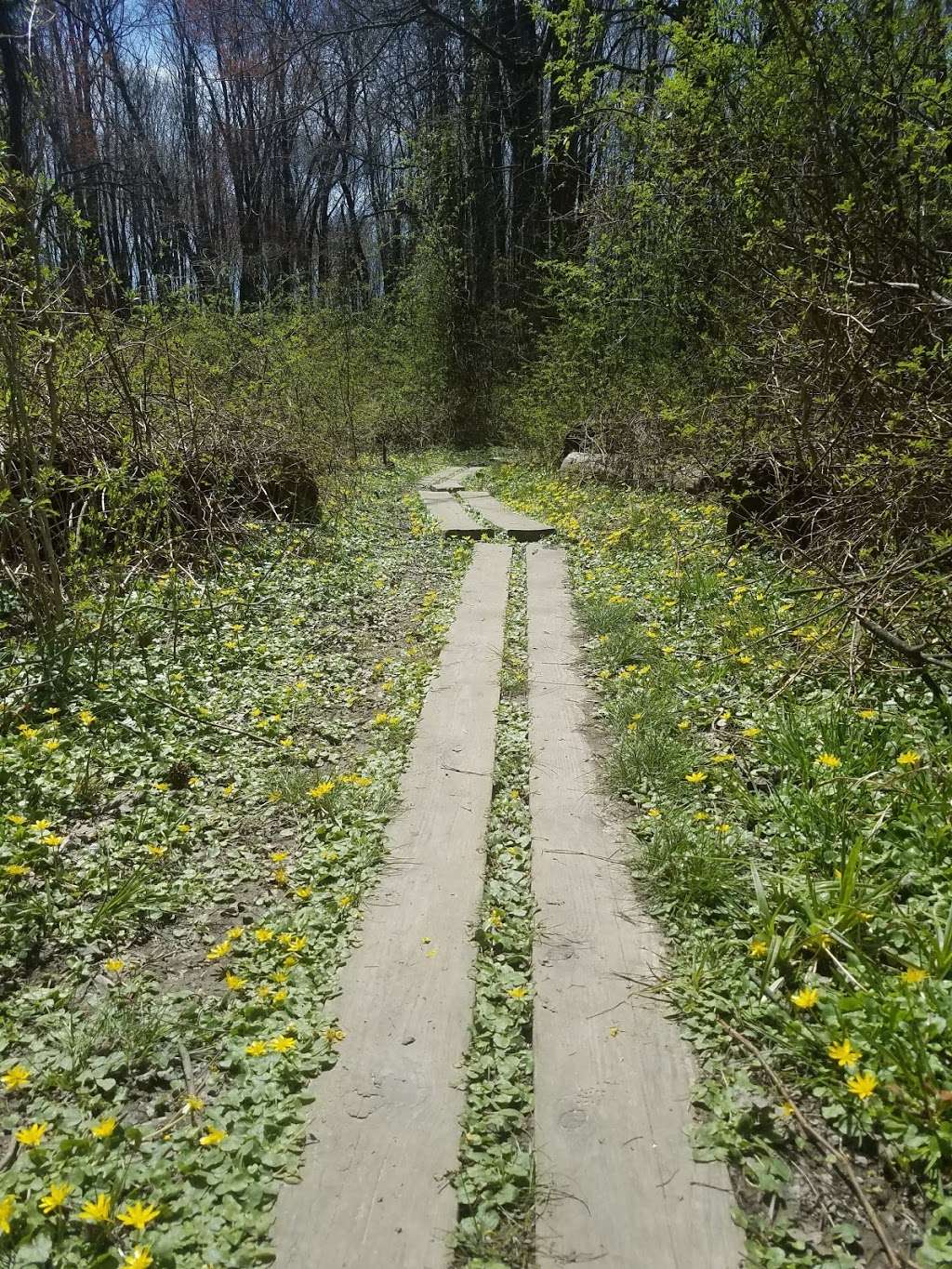 Five Mile Woods Preserve Headquarters | 1305 Big Oak Rd, Yardley, PA 19067, USA | Phone: (215) 493-6652