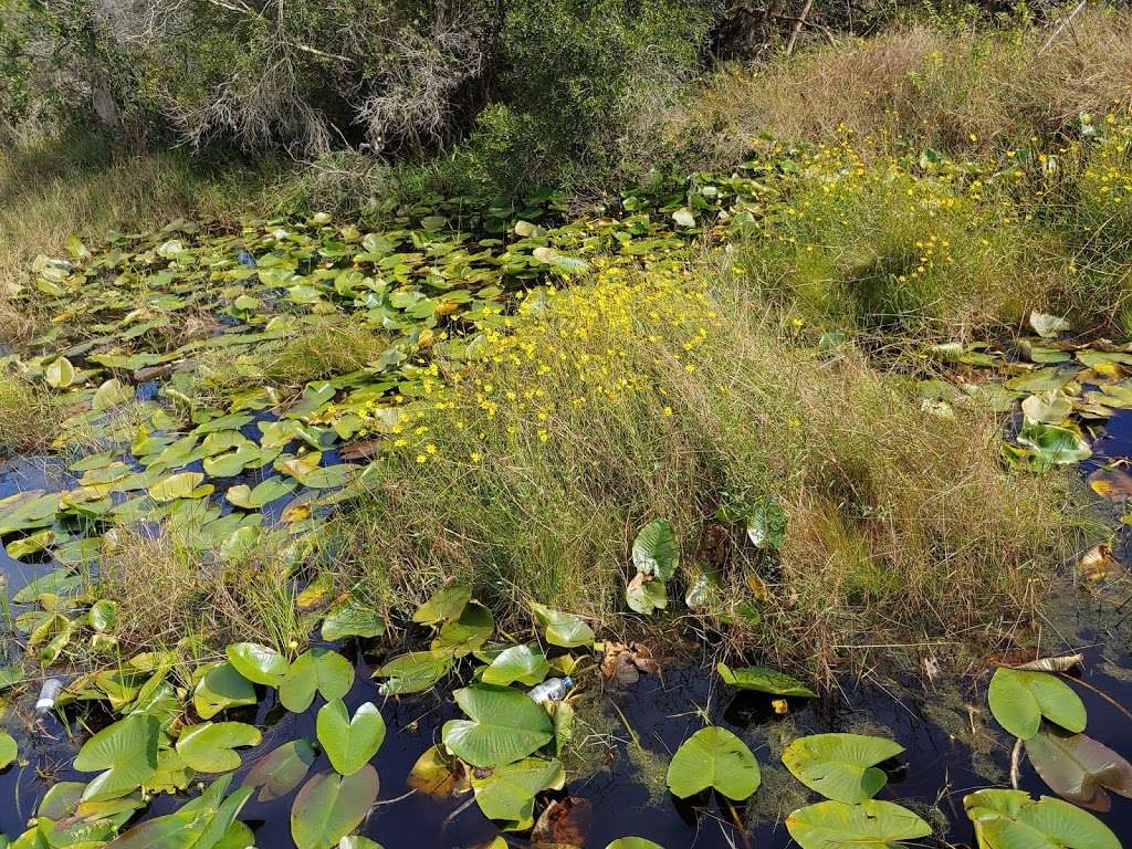 Lakeland Highlands Scrub | 6998 Lakeland Highlands Rd, Lakeland, FL 33813, USA | Phone: (863) 534-7377