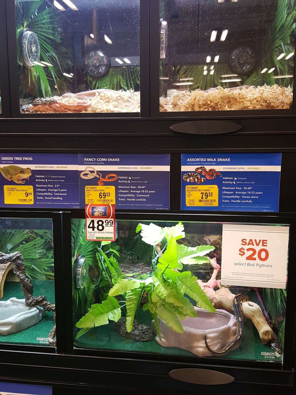 PetSmart | 7888 Van Nuys Blvd #1, Van Nuys, CA 91402, USA | Phone: (818) 742-1758