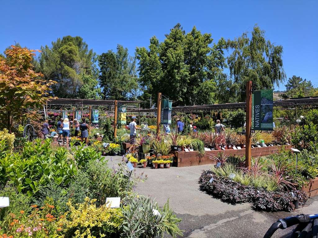 Orchard Nursery | 4010 Mt Diablo Blvd, Lafayette, CA 94549, USA | Phone: (925) 284-4474