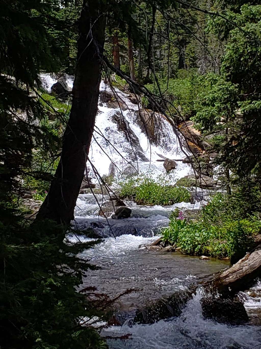 Hike 4th of july trail | 1 4th of July Rd, Nederland, CO 80466