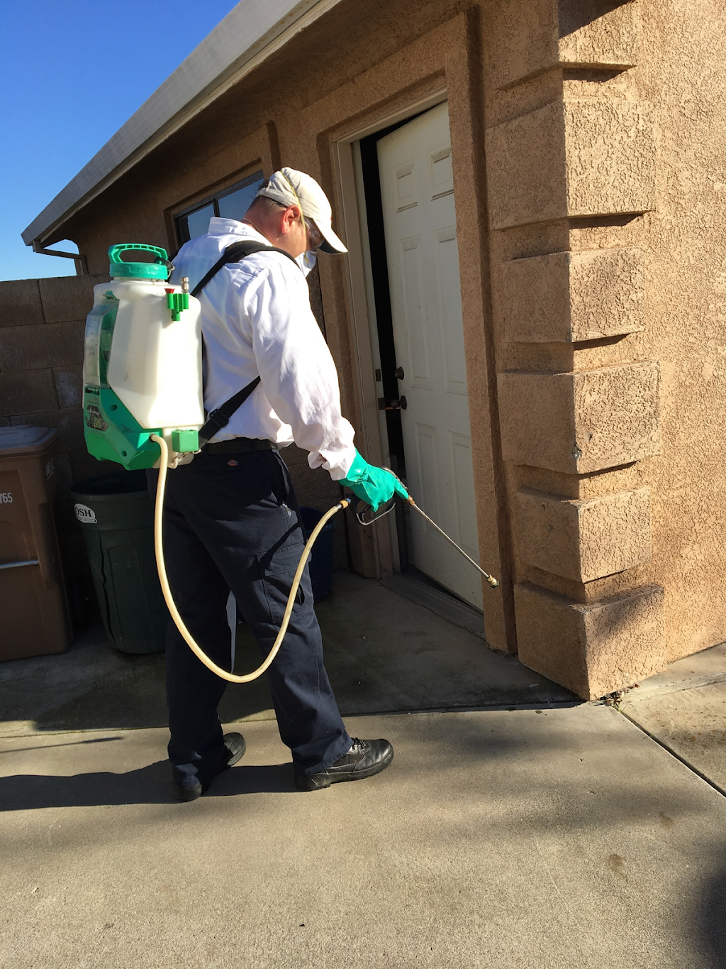 A-1 Exterminators | 805 E Harding Way, Stockton, CA 95205, USA | Phone: (209) 465-5834