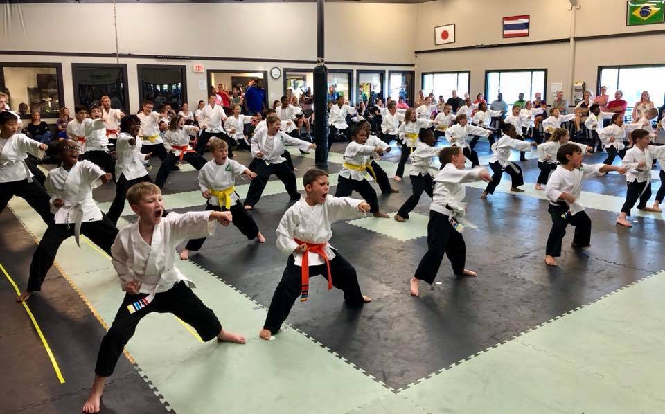 Active Martial Arts, Afterschool & Summer Camp | 16260 Airline Hwy suite c, Prairieville, LA 70769, USA | Phone: (225) 412-6004